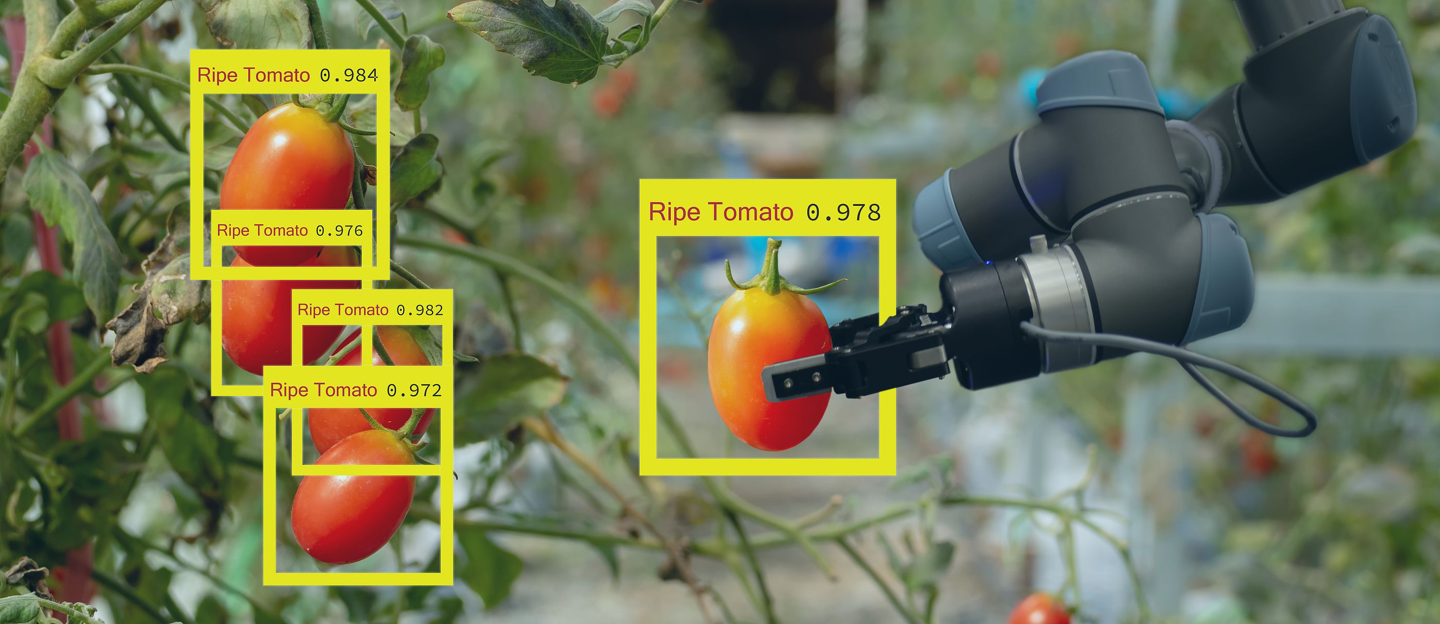 Desarrollan un robot autónomo capaz de recoger frutas y verduras sin dañarlas