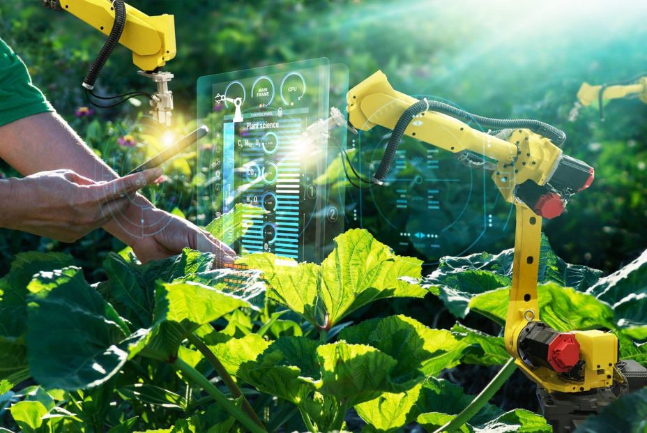 Investigadores desarrollan un robot autónomo capaz de recoger frutas y verduras sin dañarlas