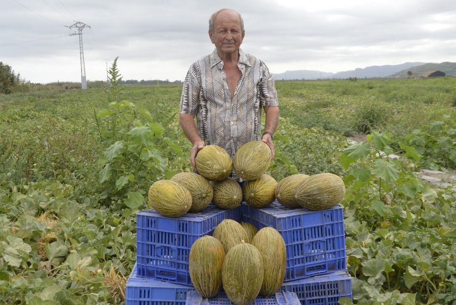 Vicent Eixea con sus melones. Fuente: El Periódico Mediterráneo