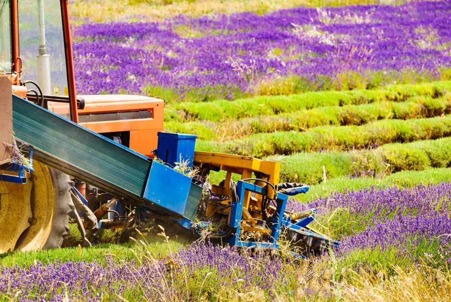 Jubilados muy activos: historias de compatibilidad entre trabajo y pensión. Foto: bigstock