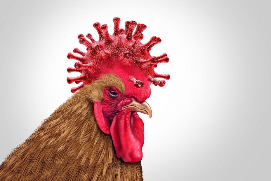 ¿Por qué la gripe aviar se resiste a infectar a los humanos? Investigadores dan con la clave