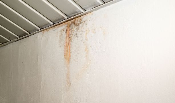 Qué es el moho rosa que aparece en el cuarto de baño y cómo eliminarlo