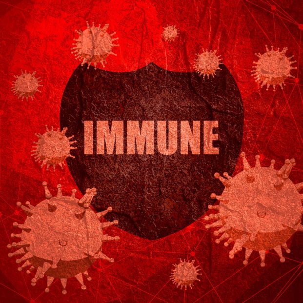 Fortalecer el sistema inmune
