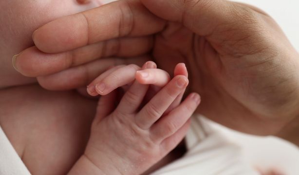 "La falta de vivienda y la inestabilidad laboral penalizan fuertemente la natalidad"