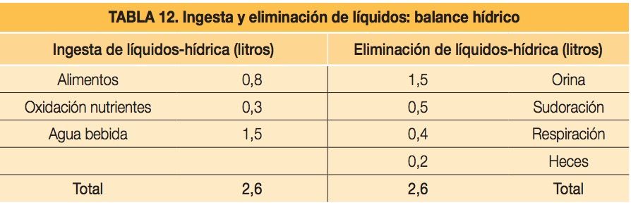 tabla hidratacion mayores