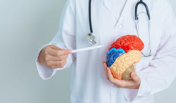 Descubren una ruta migratoria neuronal relacionada con la aparición del alzhéimer. 