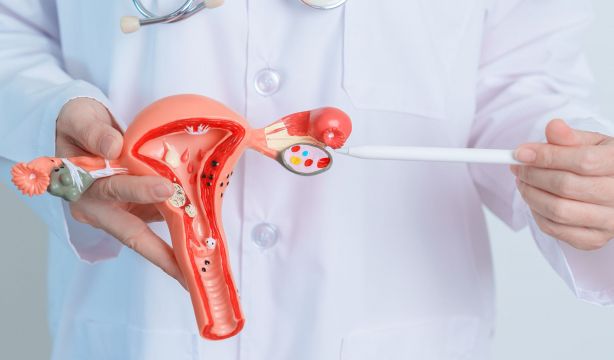 Una nueva combinación de fármacos podría vencer la resistencia al cáncer de ovario