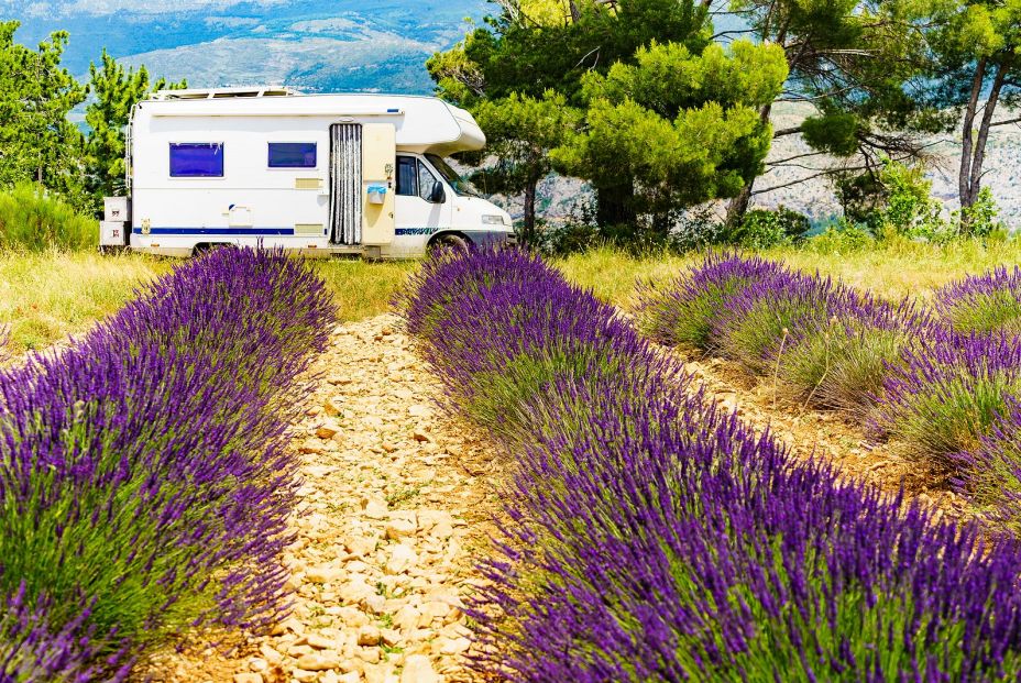 bigstock Caravan Camping At Lavender Fi 477307681