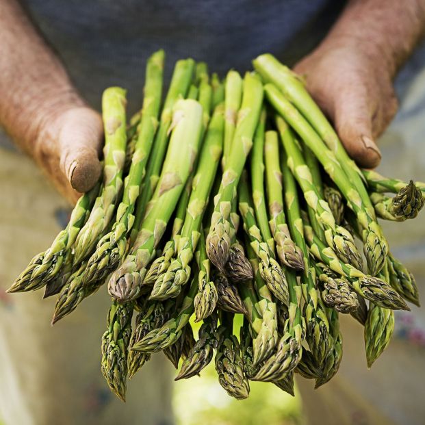 Gracias a estas verduras tendrás un aporte extra de proteínas