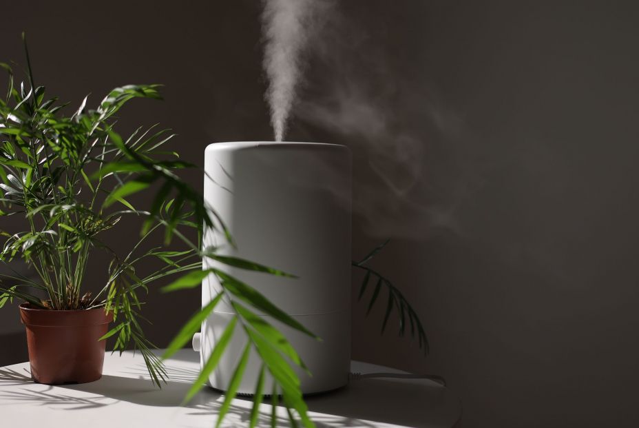 bigstock Air Purifier And Humidifier Re 474436167 bigstock Air Purifier And Humidifier Re 474436167