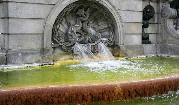 Las fuentes y alcantarillas atraen a los mosquitos en las ciudades