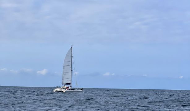Cuaderno de a bordo días 15, 16 y 17: 133 millas en 24 horas