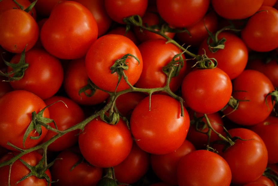 El truco infalible para conservar los tomates en perfecto estado El truco infalible para conservar los tomates en perfecto estado