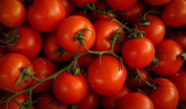El truco infalible para conservar los tomates en perfecto estado
