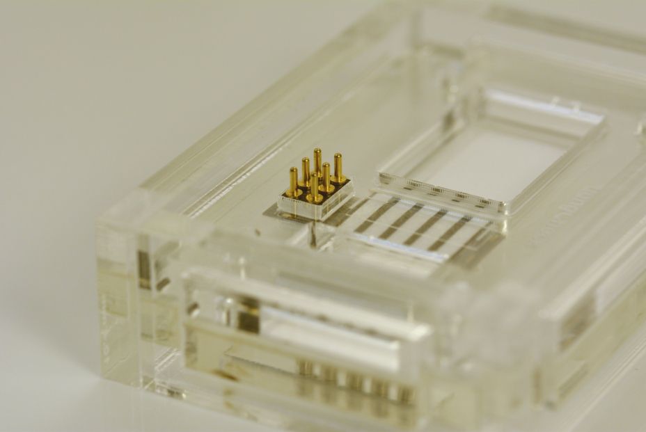 Crean un dispositivo en papel para el diagnóstico rápido de enfermedades pulmonares Crean un dispositivo en papel para el diagnóstico rápido de enfermedades pulmonares