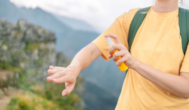 Picaduras en verano: cómo tratarlas y cuándo preocuparse