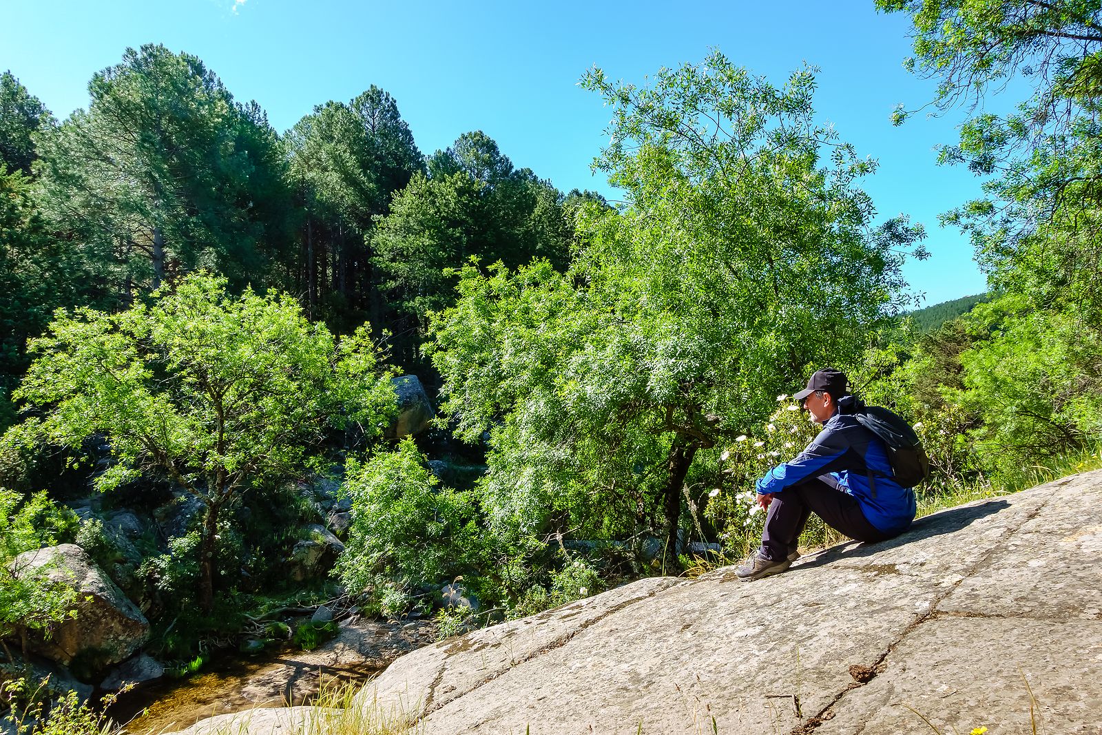 Recorrido por la Sierra Oeste madrileña entre quesos de cabra, mieles, vino y la huerta más grande. Foto: Bigstock