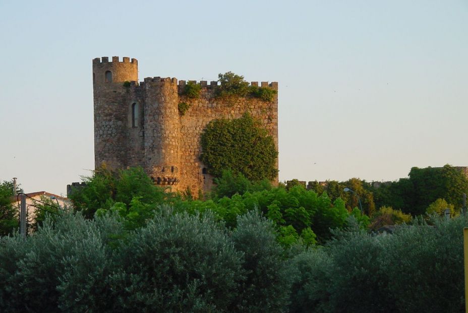 Recorrido por la Sierra Oeste madrileña entre quesos de cabra, mieles, vino y la huerta más grande. Foto: Comunidad de Madrid