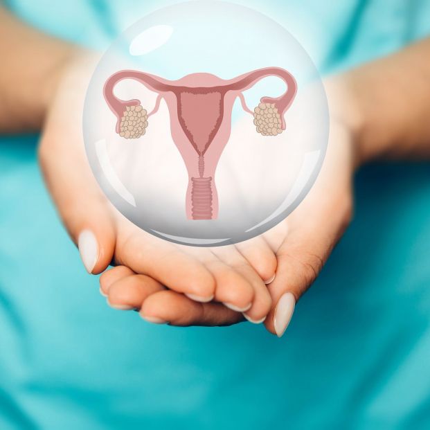 Para qué se utilizan las histeroscopias o endoscopias intrauterinas