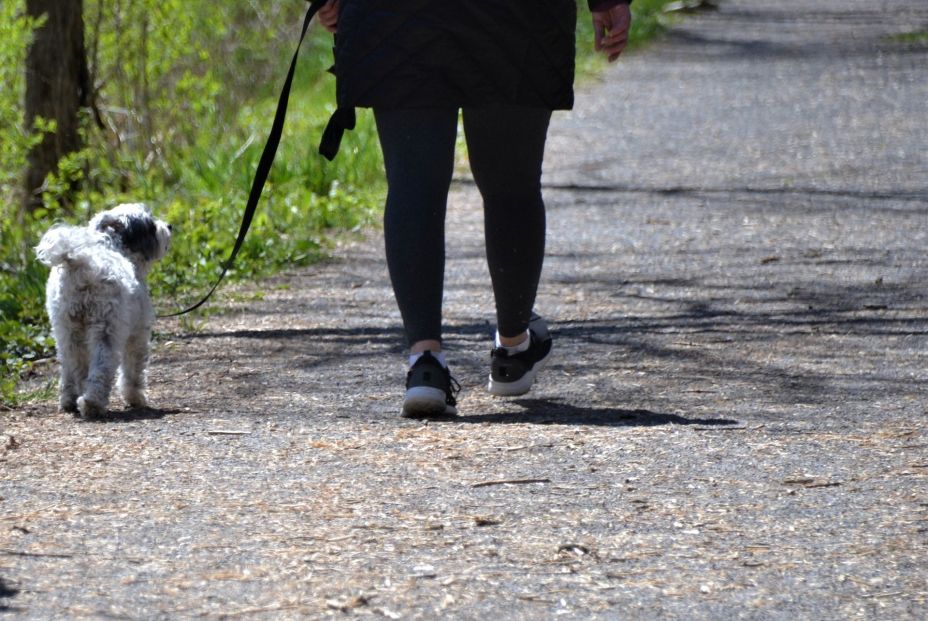 Caminar 25 minutos al día compensa el reposo en cama de las personas mayores en el hospital