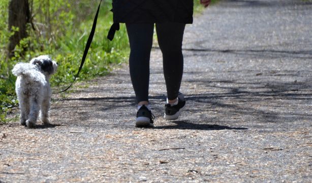 La velocidad de la marcha es un indicador clave de envejecimiento biológico en mayores con VIH