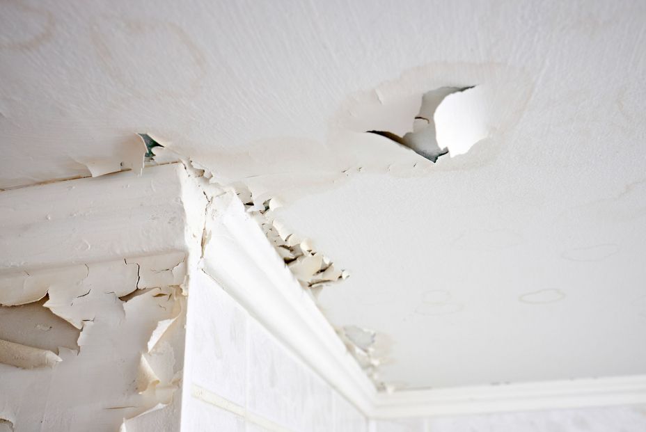 bigstock Expansion Leaky Whitewash 460971625 bigstock Expansion Leaky Whitewash 460971625