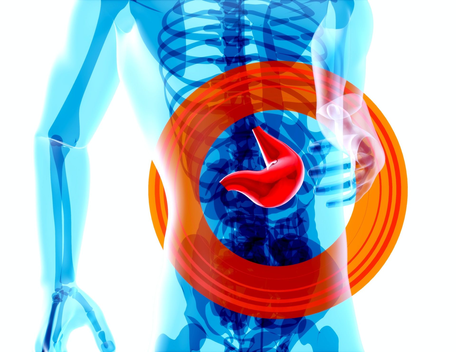 Desarrollan una herramienta para determinar el riesgo de tener enfermedades hepáticas