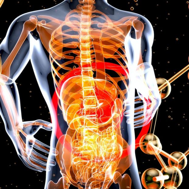 Desarrollan una herramienta para determinar el riesgo de tener enfermedades hepáticas