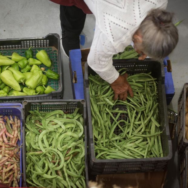 EuropaPress 5376942 persona compra alimentos mercado