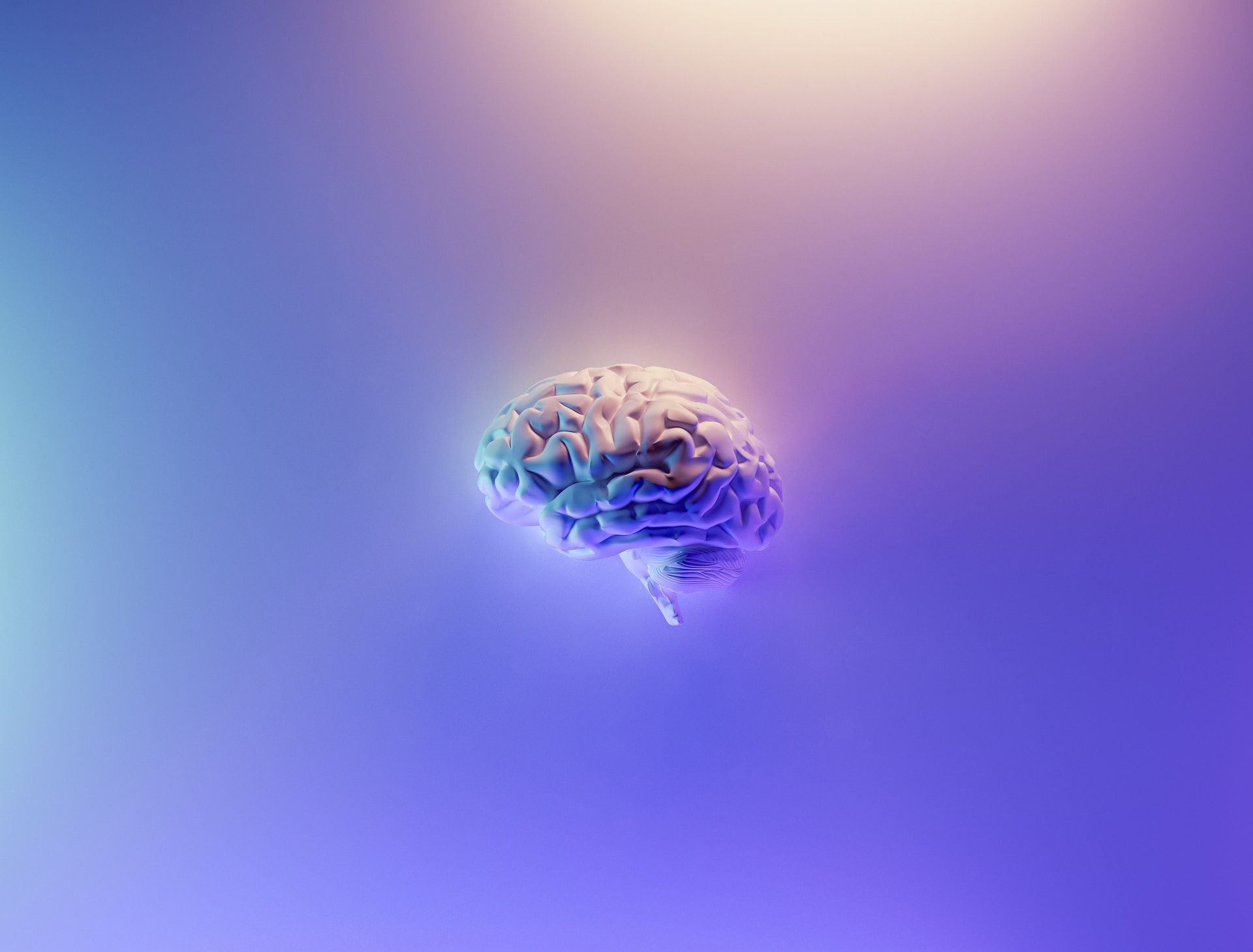 Descubren "cambios claros" en el cerebro de las personas mayores cuando envejecen Descubren "cambios claros" en el cerebro de las personas mayores cuando envejecen