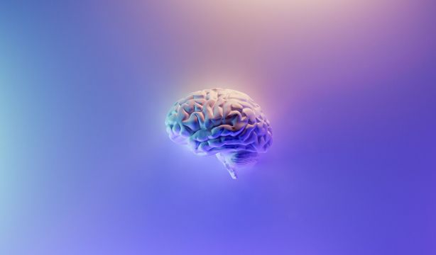 Descubren "cambios claros" en el cerebro de las personas mayores cuando envejecen