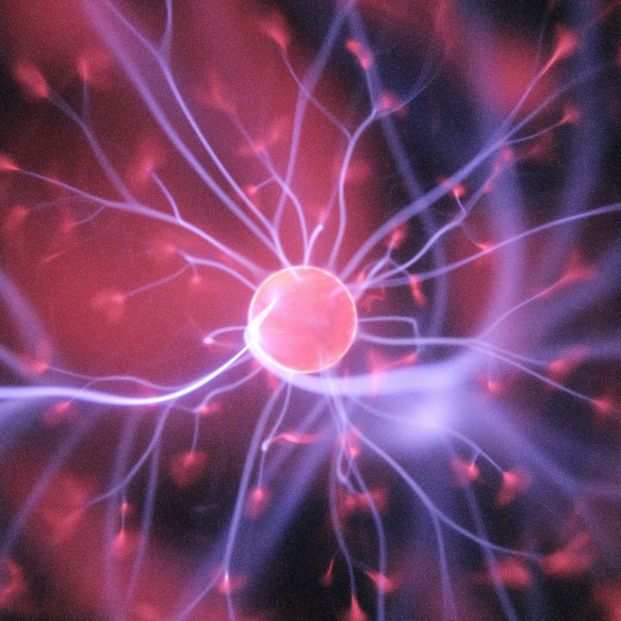 Descubren "cambios claros" en el cerebro de las personas mayores cuando envejecen Descubren "cambios claros" en el cerebro de las personas mayores cuando envejecen