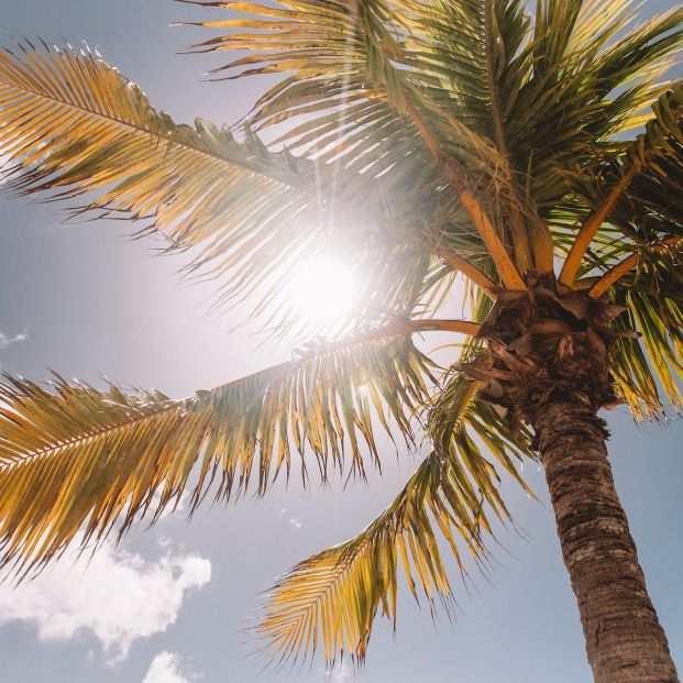 Esta es la propuesta de la OMS para luchar contra el calor en las ciudades