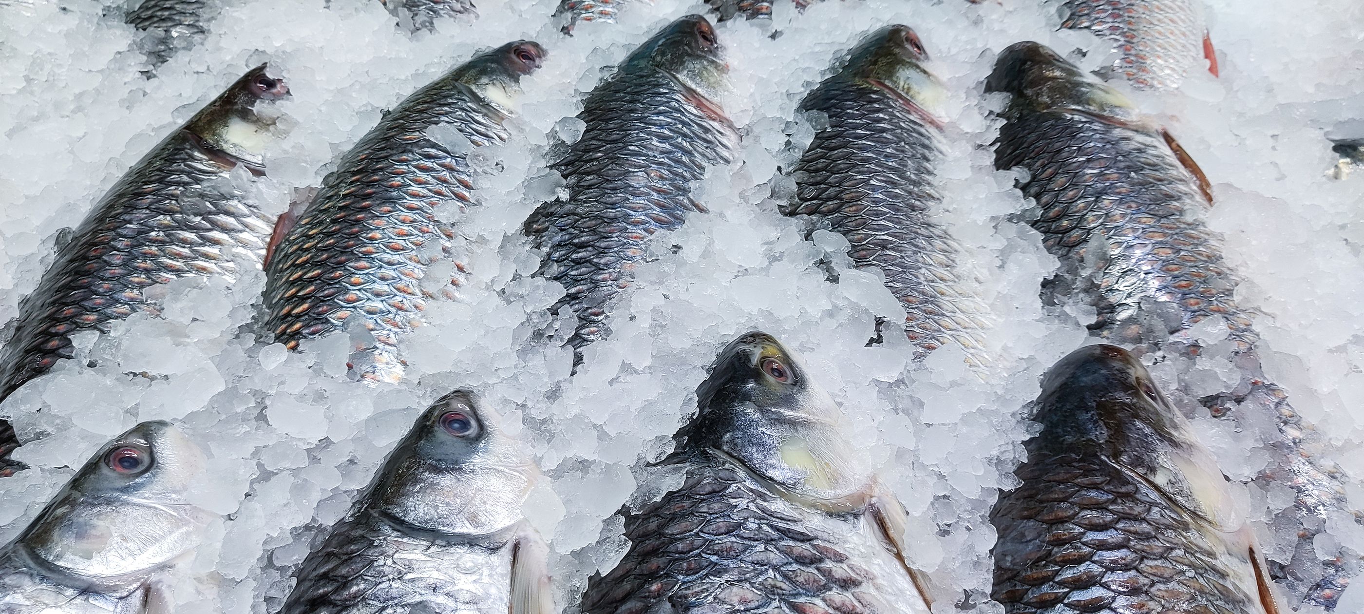 Los tres pescados de Mercadona que recomiendan los nutricionistas 