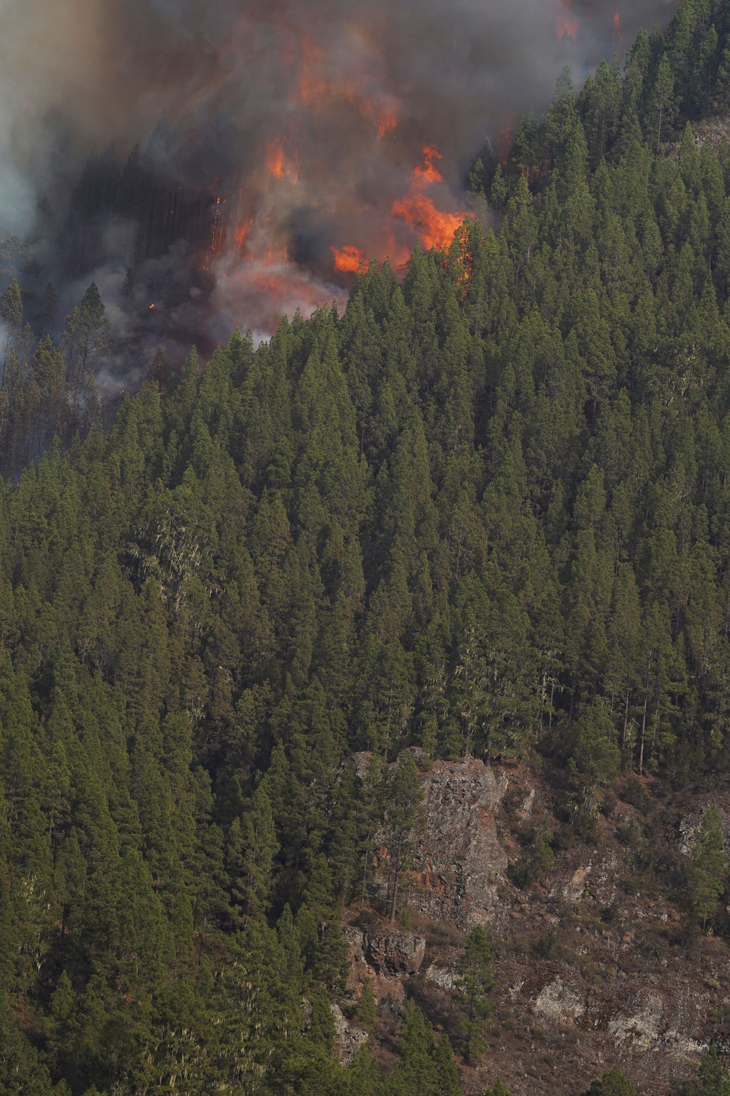 Cómo reclamar si has sufrido pérdidas por un incendio forestal