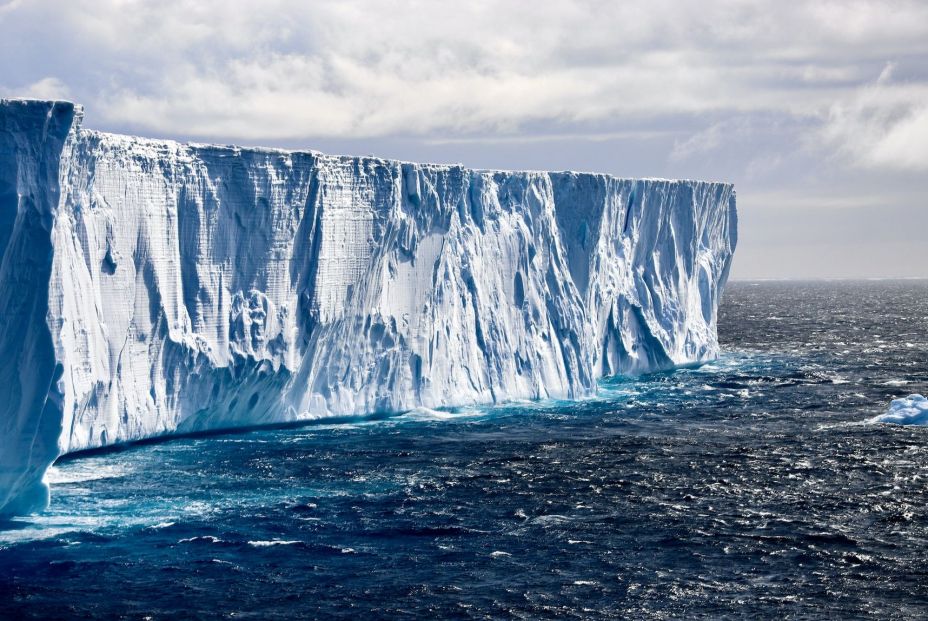 Hongos y algas de líquenes de la Antártida mantienen sus patrones de interacción a pesar del clima