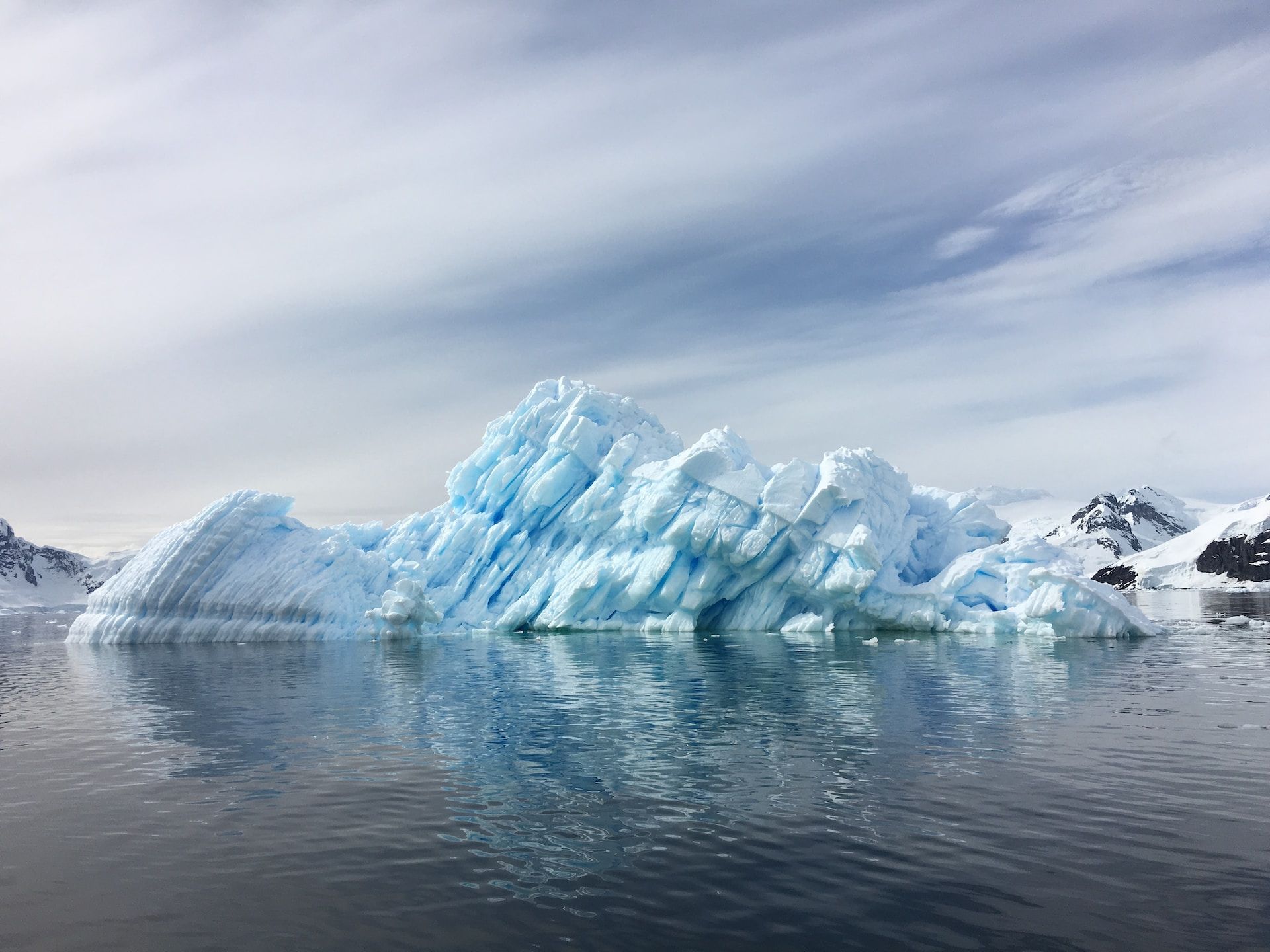 Hongos y algas de líquenes de la Antártida mantienen sus patrones de interacción a pesar del clima