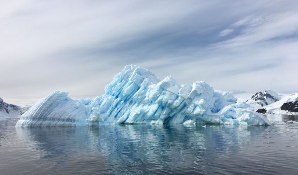 Hongos y algas de líquenes de la Antártida mantienen sus patrones de interacción a pesar del clima