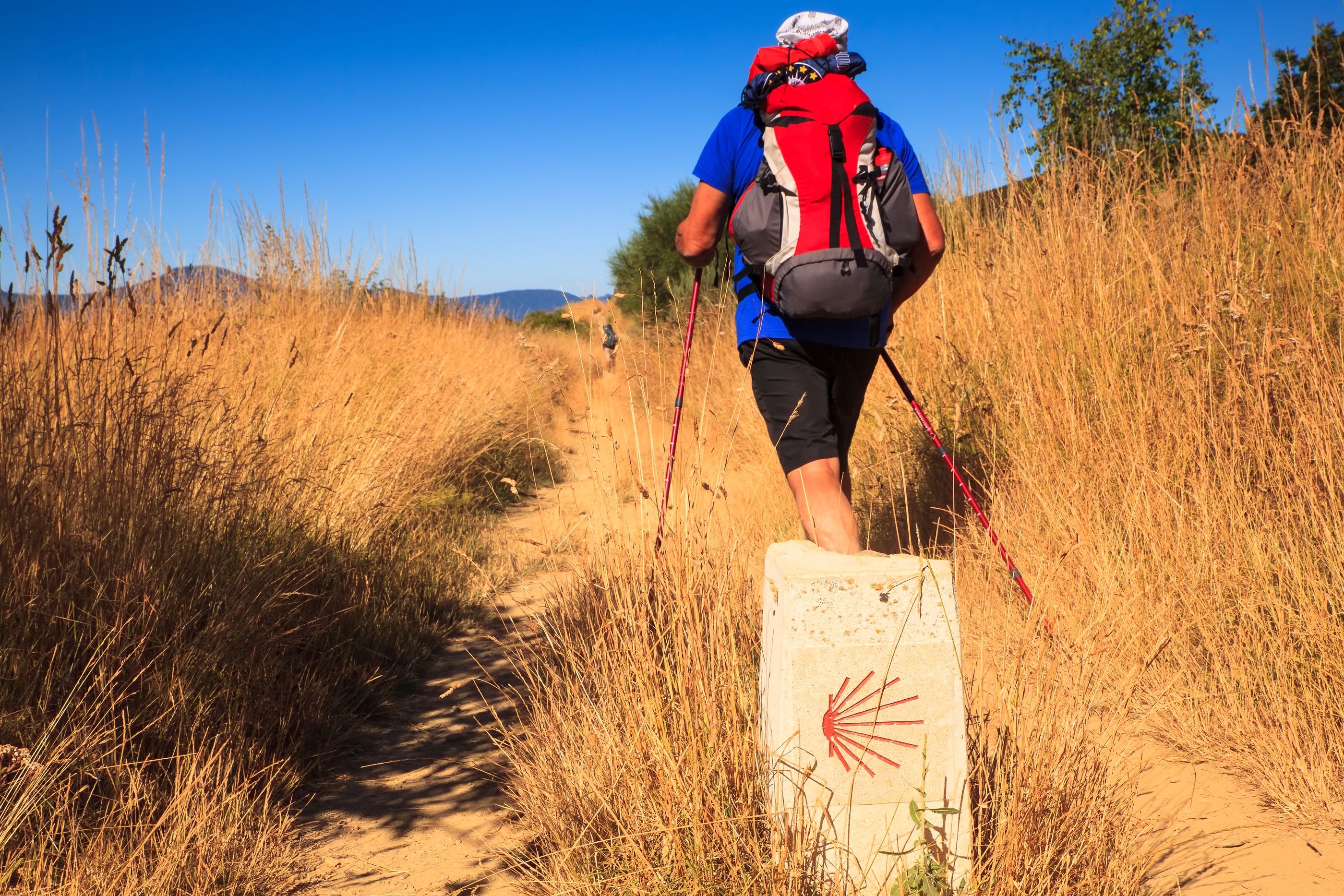 Camino de Santiago