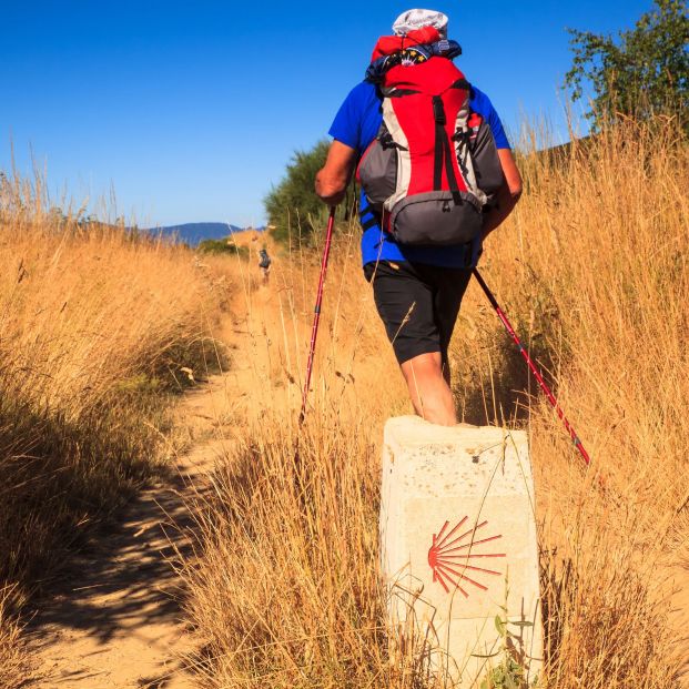 Camino de Santiago