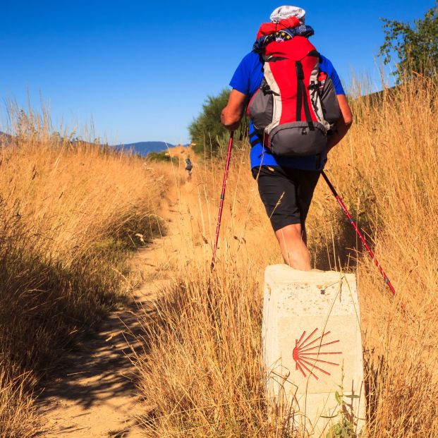 Camino de Santiago