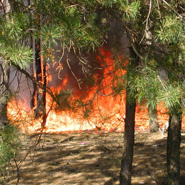 Qué hacer si te ves inmerso en un incendio forestal