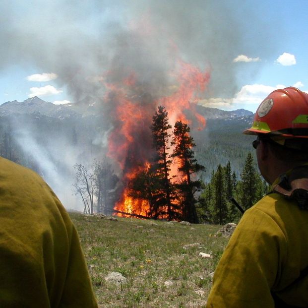 Qué hacer o no ante un incendio forestal