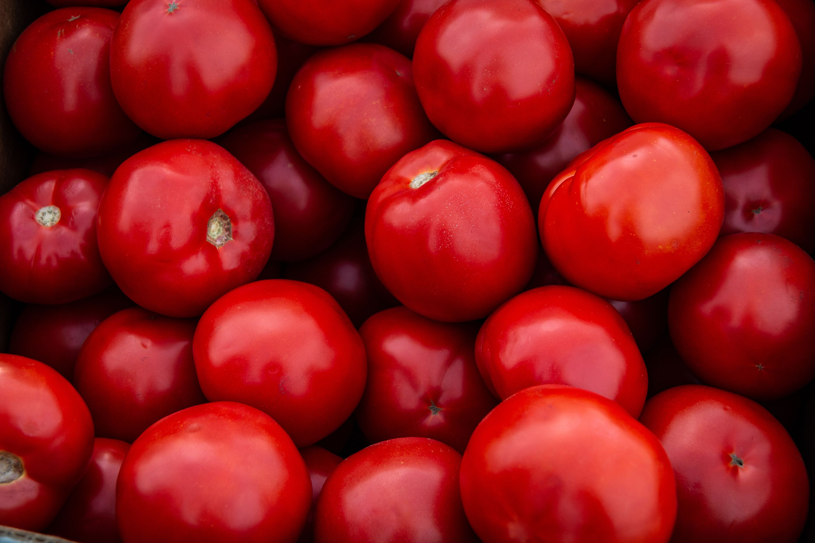 Qué hacer con los tomates maduros, según el chef José Andrés