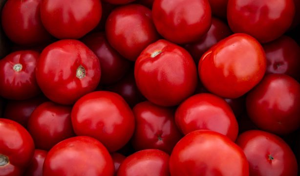Qué hacer con los tomates maduros, según el chef José Andrés