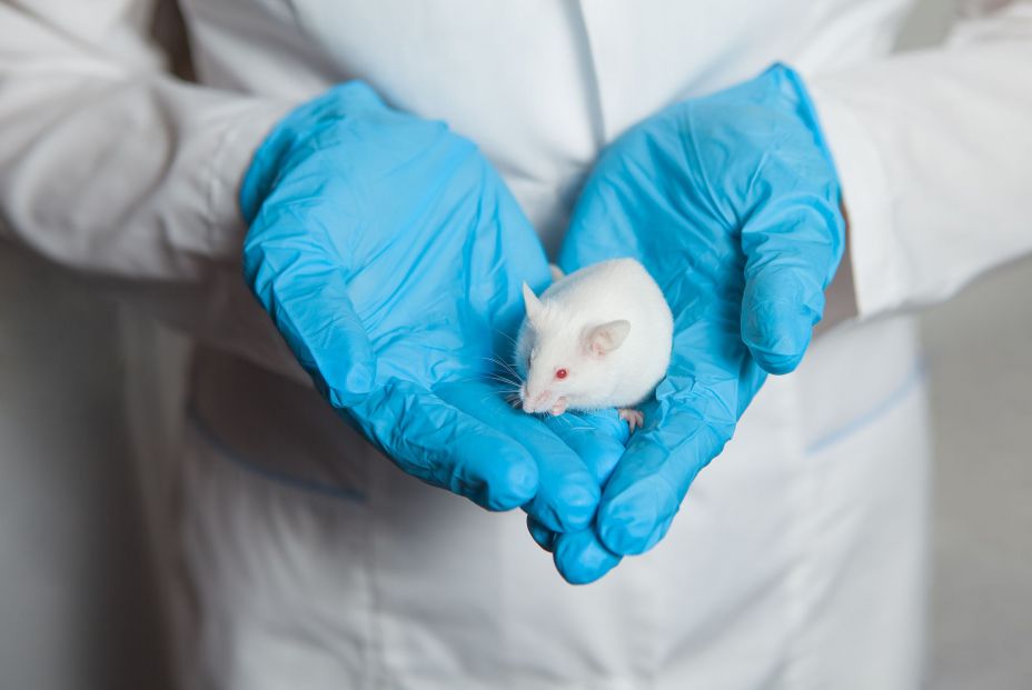 Descubren un nuevo antiviral contra el herpes simple resistente a los tratamientos