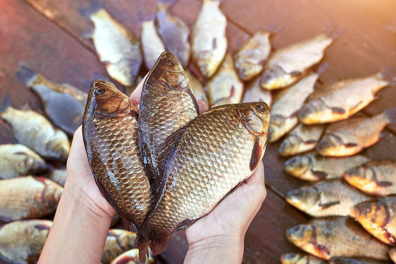 Comer pescado ayudar a luchar contra la piel seca