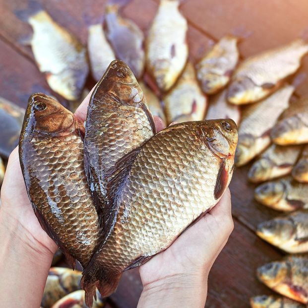 Comer pescado ayudar a luchar contra la piel seca