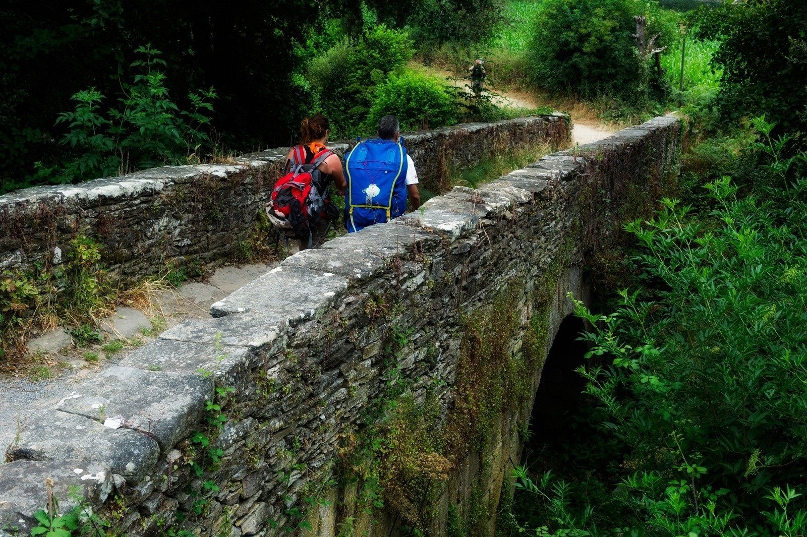 '3Caminos' seguirá a cinco peregrinos en el Camino de Santiago