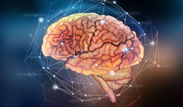 Descubren una nueva célula cerebral que abre la puerta a avances en alzhéimer y párkinson. Foto: Bigstock